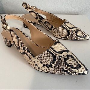 NWOT Franco Sarto Snakeskin Flats with Heel